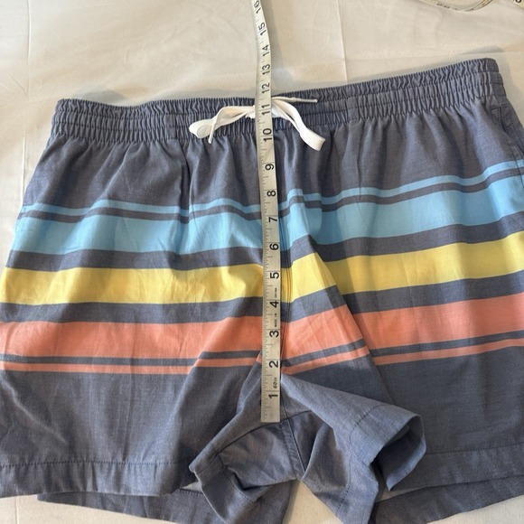 Chubbies The Retro‎ Sets 4" Inseam Swim Trunks Shorts Men's XL Striped Colorful - Picture 8 of 11